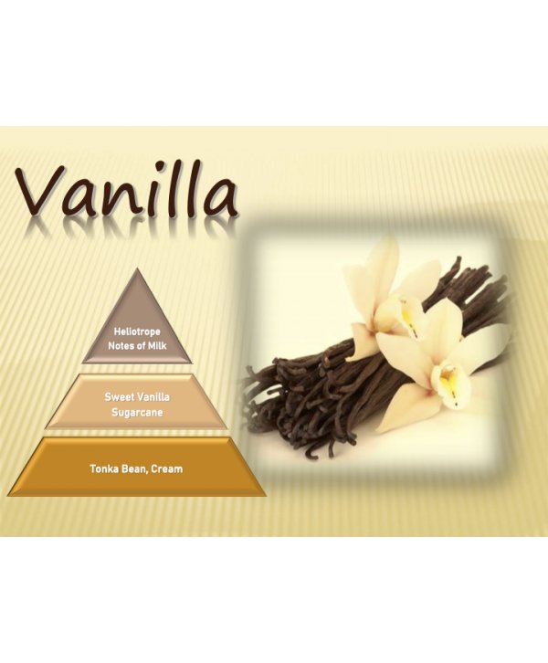 Vanilla – Ulei Esențial Odorizant de Cameră Premium, 500 ml | Aromă Dulce, Catifelată și Caldă