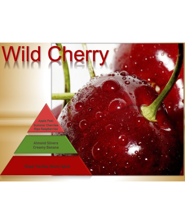 Wild Cherry – Ulei Esențial Odorizant de Cameră Premium, 50 ml | Aromă Fructată, Dulce și Vibrantă