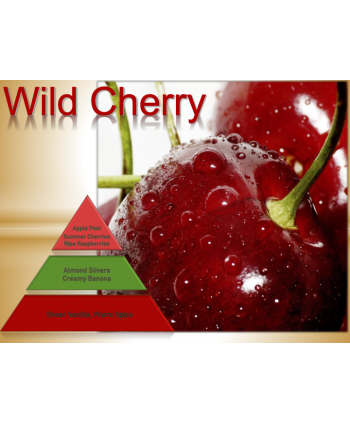 Wild Cherry – Ulei Esențial Odorizant de Cameră Premium, 500 ml | Aromă Fructată, Dulce și Vibrantă