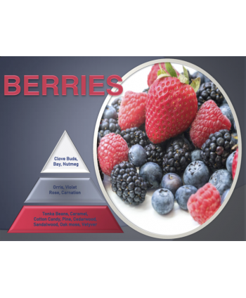 Berries – Ulei Esențial Odorizant de Cameră Premium, 500 ml | Aromă Fructată, Rafinată și Catifelată