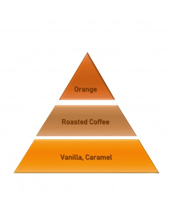 Orange Coffee – Ulei Esențial Odorizant de Cameră Premium, 50 ml | Aromă Caldă, Citrică și Aromată