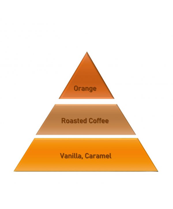 Orange Coffee – Ulei Esențial Odorizant de Cameră Premium, 500 ml | Aromă Caldă, Citrică și Aromată