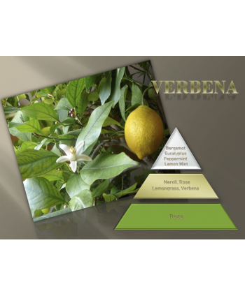 Lemon Verbena – Ulei Esențial Odorizant de Cameră Premium, 500 ml | Aromă Citrică, Verde și Revigorantă