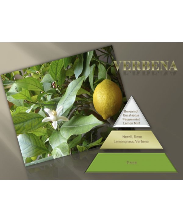 Lemon Verbena – Ulei Esențial Odorizant de Cameră Premium, 500 ml | Aromă Citrică, Verde și Revigorantă