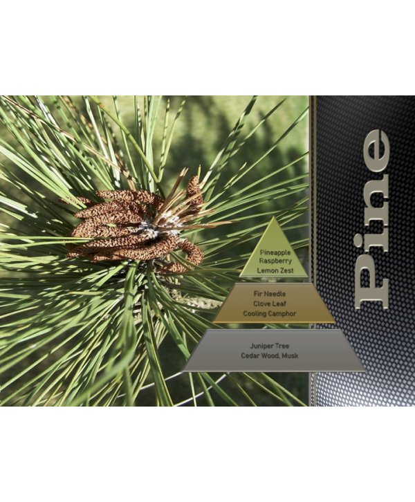 Pine – Ulei Esențial Odorizant de Cameră Premium, 50 ml | Aromă Fresh, Verde și Revigorantă