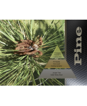 Uleiuri esentiale pentru difuzor - Pine 🌲 Ulei esential odorizant pt difuzor, calitate premium, persistenta minima 6 ore, Aromatherapy, 500 ml - arli.ro