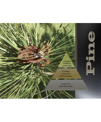 Pine – Ulei Esențial Odorizant de Cameră Premium, 500 ml | Aromă Fresh, Verde și Revigorantă