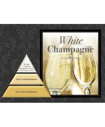 White Champagne – Ulei Esențial Odorizant de Cameră Premium, 50 ml | Aromă Elegantă, Luminoasă și Festivă