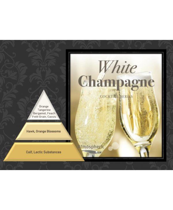 White Champagne – Ulei Esențial Odorizant de Cameră Premium, 50 ml | Aromă Elegantă, Luminoasă și Festivă