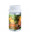 Uleiuri esentiale pentru difuzor - Guava Pineapple 🍍🍈 Ulei esential odorizant pt difuzor, calitate premium, persistenta minima 6 ore, gama Exotic Fruits, 50 ml - arli.ro