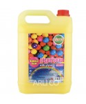 Consumabile – Sapun lichid - Săpun Lichid Bubble Gum – 5L | Curățare Delicată și Hidratare pentru Toate Tipurile de Piele - arli.ro