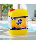  Detergenti profesionali - Domestos Professional Citrus Fresh 5L – Soluția dezinfectantă pentru curățenie impecabilă - arli.ro