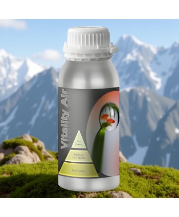  Uleiuri esentiale pentru difuzor - Vitality Air 🌿 Ulei esential odorizant pt difuzor, calitate premium, persistenta minima 6 ore, gama Aromatherapy, 500 ml - arli.ro