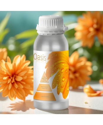  Uleiuri esentiale pentru difuzor - Oasis 🌼 Ulei esential odorizant pt difuzor, calitate premium, persistenta minima 6 ore, gama Aromatherapy, 500 ml - arli.ro