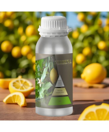  Uleiuri esentiale pentru difuzor - Lemon Verbena 🍋 Ulei esential odorizant pt difuzor, calitate premium, persistenta minima 6 ore, gama Exotic Fruits, 500 ml - arli.ro