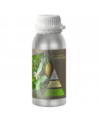 Lemon Verbena – Ulei Esențial Odorizant de Cameră Premium, 500 ml | Aromă Citrică, Verde și Revigorantă