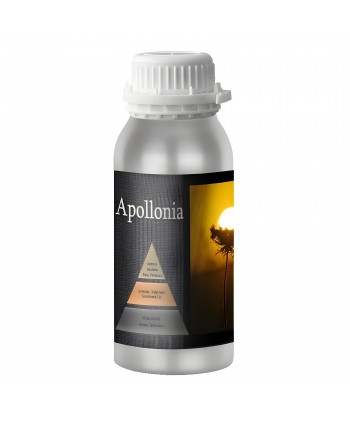Apollonia – Ulei Esențial Odorizant de Cameră Premium, 500 ml | Aromă Florală, Lemnoasă și Elegantă