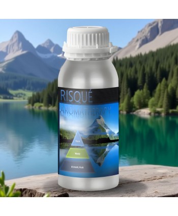  Uleiuri esentiale pentru difuzor - Risque Aromatherapy ⛰️ Ulei esential odorizant pt difuzor, calitate premium, persistenta minima 6 ore, gama Aromatherapy, 500 ml - arli.ro