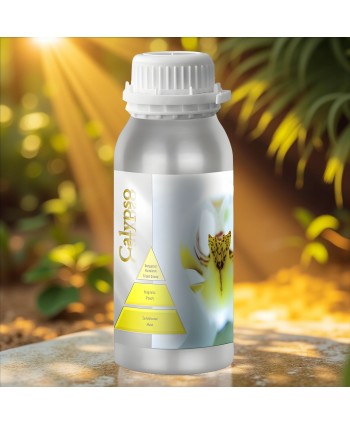  Uleiuri esentiale pentru difuzor - Calypso 🌬️ Ulei esential odorizant pt difuzor, calitate premium, persistenta minima 6 ore, gama Aromatherapy, 500 ml - arli.ro