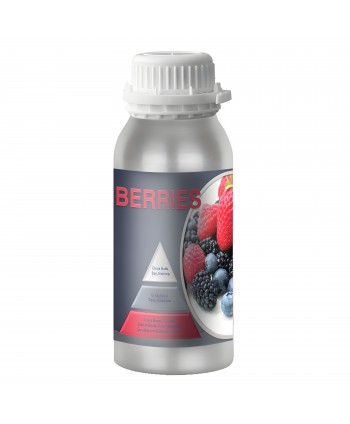 Berries – Ulei Esențial Odorizant de Cameră Premium, 500 ml | Aromă Fructată, Rafinată și Catifelată