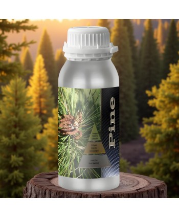  Uleiuri esentiale pentru difuzor - Pine 🌲 Ulei esential odorizant pt difuzor, calitate premium, persistenta minima 6 ore, Aromatherapy, 500 ml - arli.ro