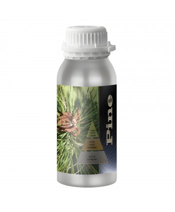 Pine – Ulei Esențial Odorizant de Cameră Premium, 500 ml | Aromă Fresh, Verde și Revigorantă