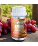 Grapes – Ulei Esențial Odorizant de Cameră Premium, 50 ml | Aromă Fructată, Dulce și Catifelată Grapes – Ulei Esențial Odorizant de Cameră Premium, 50 ml | Aromă Fructată, Dulce și Catifelată