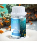 Coral – Ulei Esențial Odorizant de Cameră Premium, 50 ml | Aromă Marină, Exotică și Luminoasă Coral – Ulei Esențial Odorizant de Cameră Premium, 50 ml | Aromă Marină, Exotică și Luminoasă