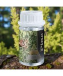 Pine – Ulei Esențial Odorizant de Cameră Premium, 50 ml | Aromă Fresh, Verde și Revigorantă