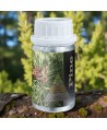 Pine – Ulei Esențial Odorizant de Cameră Premium, 50 ml | Aromă Fresh, Verde și Revigorantă