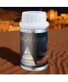Night Fever – Ulei Esențial Odorizant de Cameră Premium, 50 ml | Aromă Intensă, Elegantă și Memorabilă