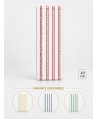 Mop profesional plat din microfibră 40 cm cu dungi roșii, urechi și buzunare, pentru toalete