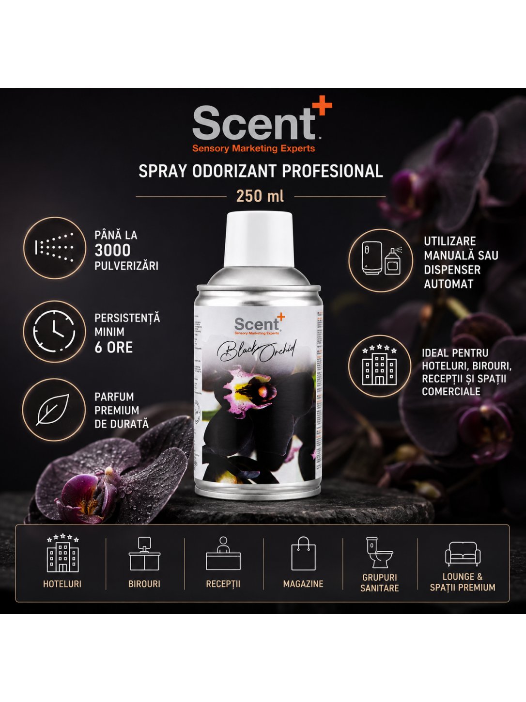 Spray Odorizant Profesional Black Orchid 250 ml | ScentPlus®