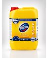 Domestos Professional Citrus Fresh 5L – Soluția dezinfectantă pentru curățenie impecabilă