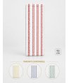 Mop profesional plat 50 cm din microfibră cu dungi roșii, urechi și buzunare, pentru toalete