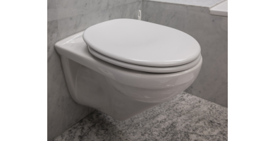 Ce este un capac de WC igienic și unde este necesar?